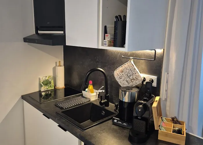 Danube - Self Checkin - Kueche - Smart Tv Passau